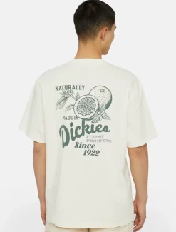 Dickies T-Shirts*Raven Short Sleeve T-Shirt