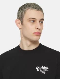 Dickies T-Shirts*Raven Short Sleeve T-Shirt