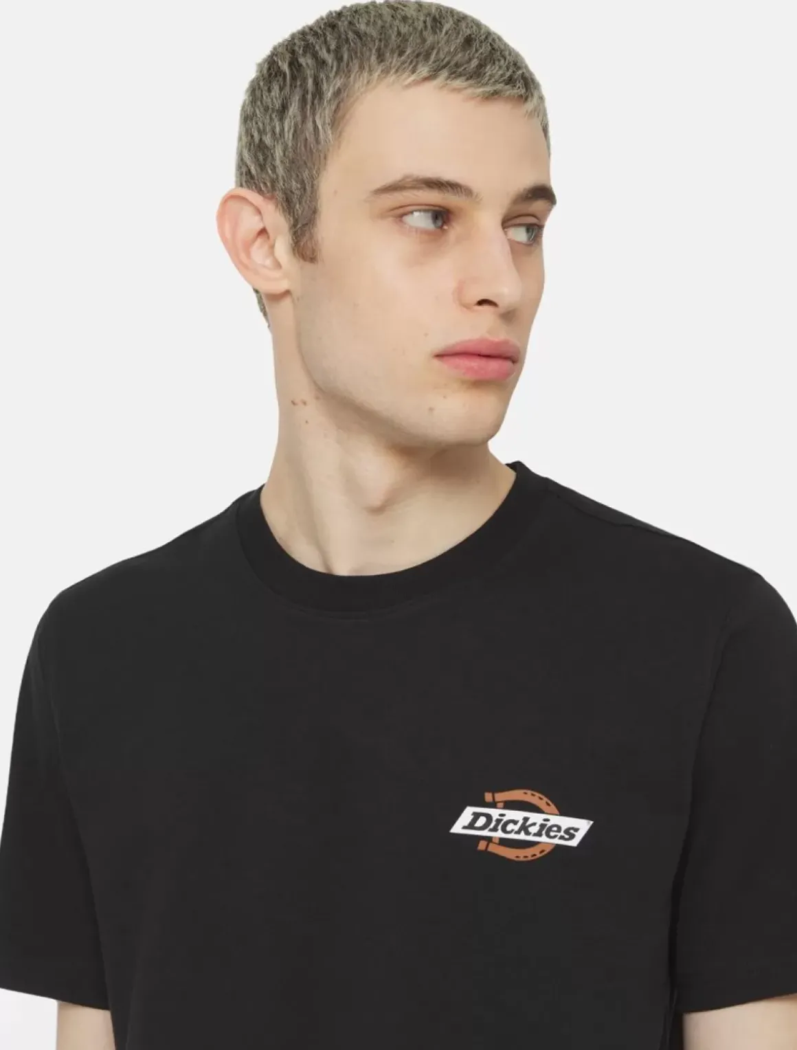 Dickies T-Shirts*Ruston Short Sleeve T-Shirt