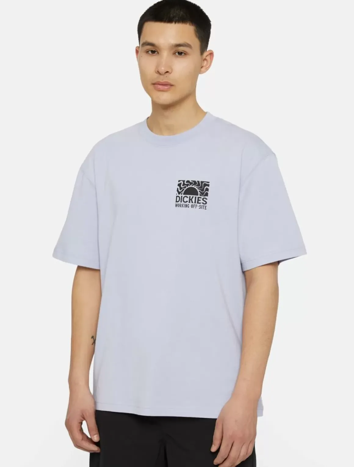 Dickies T-Shirts*Saltville Short Sleeve T-Shirt