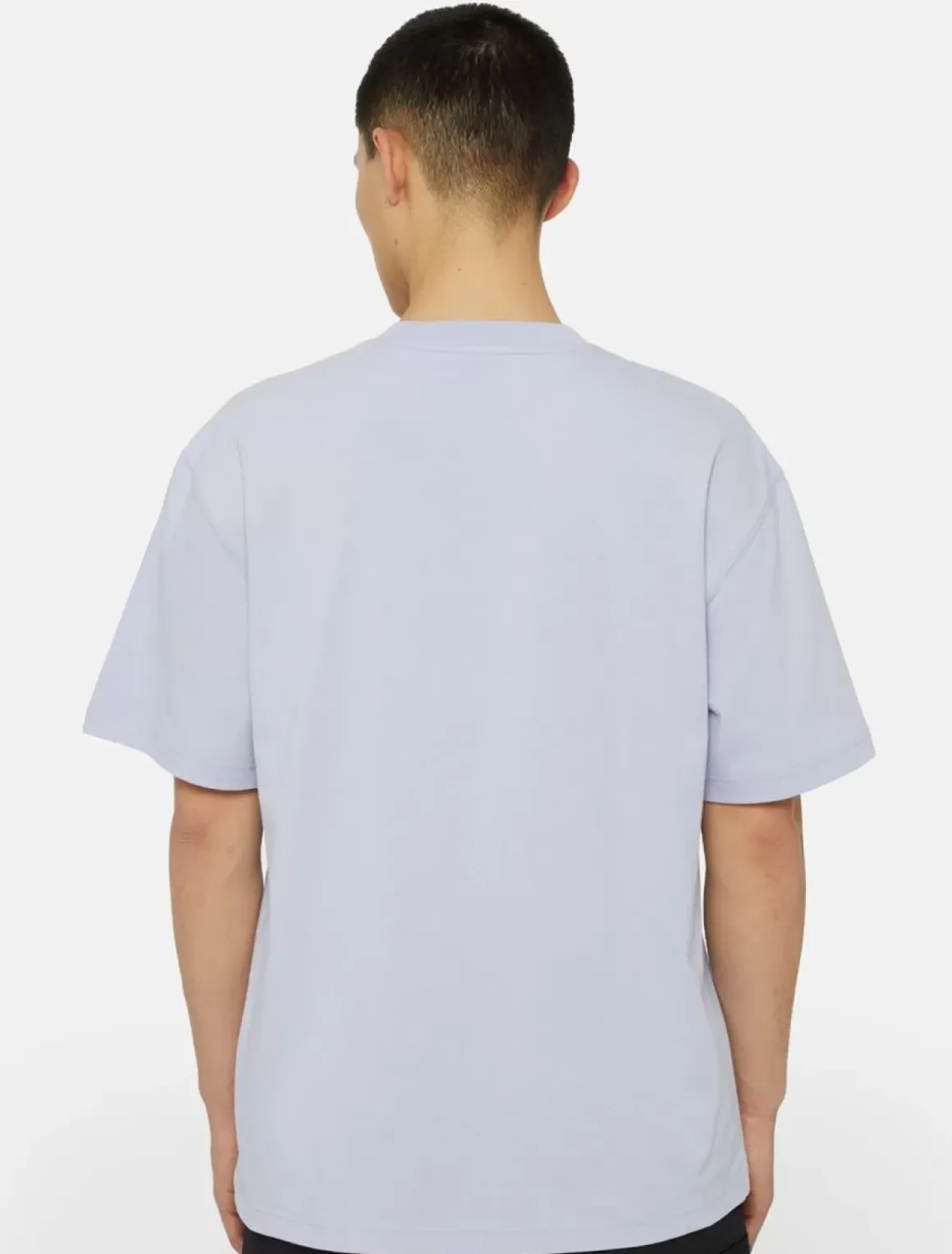 Dickies T-Shirts*Saltville Short Sleeve T-Shirt
