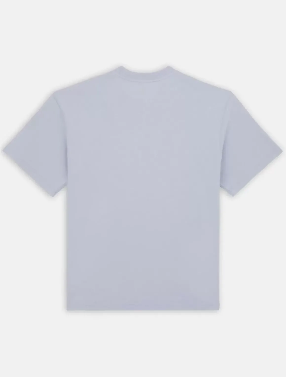 Dickies T-Shirts*Saltville Short Sleeve T-Shirt