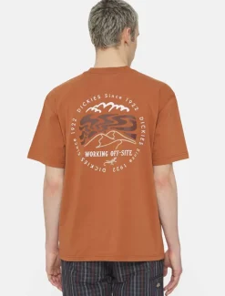 Dickies T-Shirts*Stanardsville Short Sleeve T-Shirt