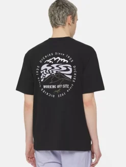 Dickies T-Shirts*Stanardsville Short Sleeve T-Shirt