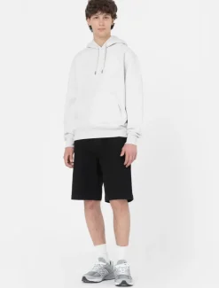 Dickies Sweatshirts & Hoodies*Summerdale Hoodie