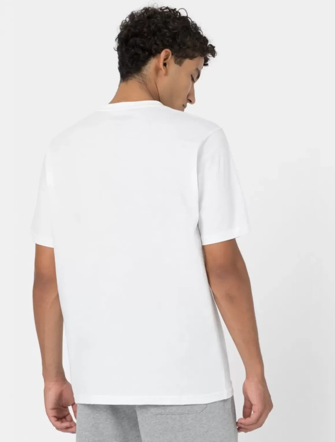Dickies T-Shirts*Three-Pack T-Shirts