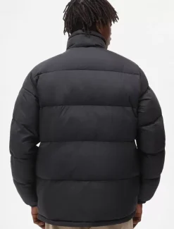 Dickies Jackets & Puffers*Waldenburg Jacket
