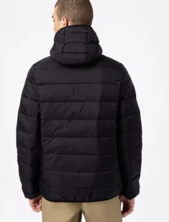 Dickies Jackets & Puffers*Waldenburg Mid Layer Jacket